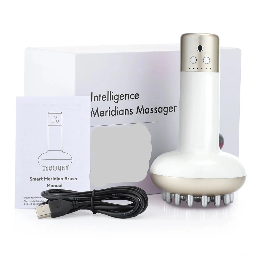 Masseur Guasha Rechargeable Chauffant - SHOP VELUMIA